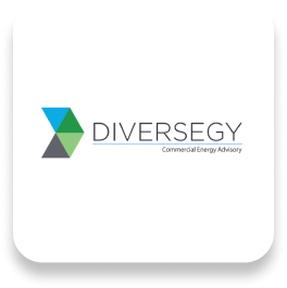 Diversegy